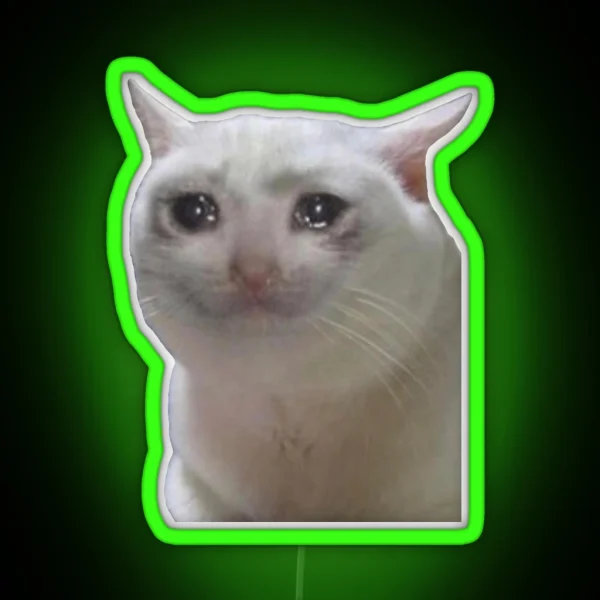 Sad Cat Meme RGB Neon Sign