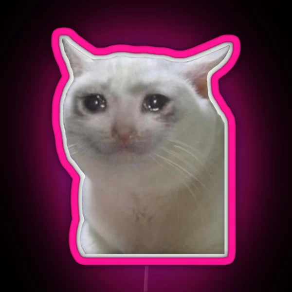 Sad Cat Meme RGB Neon Sign