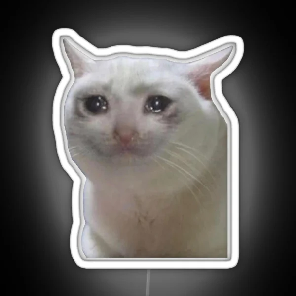 Sad Cat Meme RGB Neon Sign