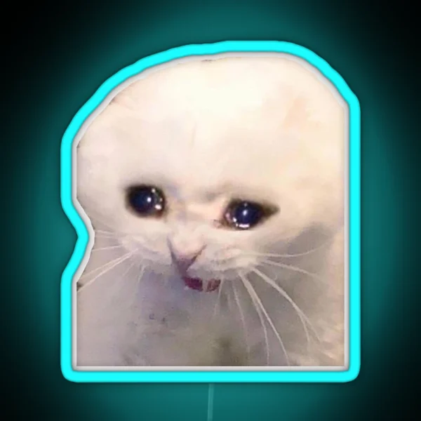 Sad Cat RGB Neon Sign