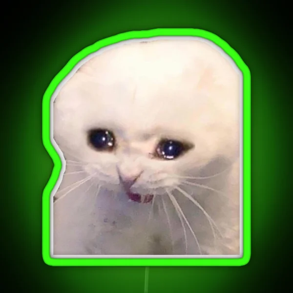 Sad Cat RGB Neon Sign