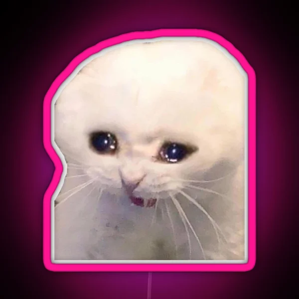 Sad Cat RGB Neon Sign