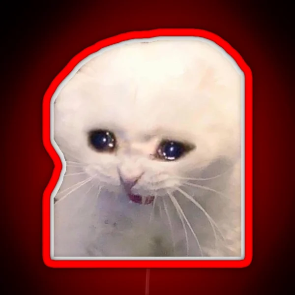 Sad Cat RGB Neon Sign