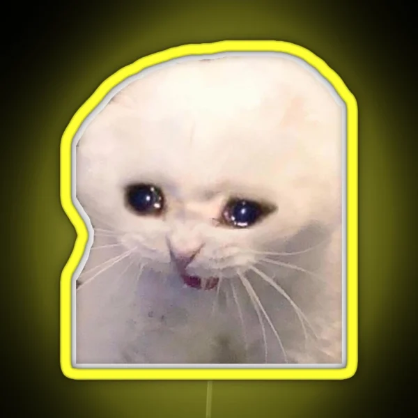 Sad Cat RGB Neon Sign