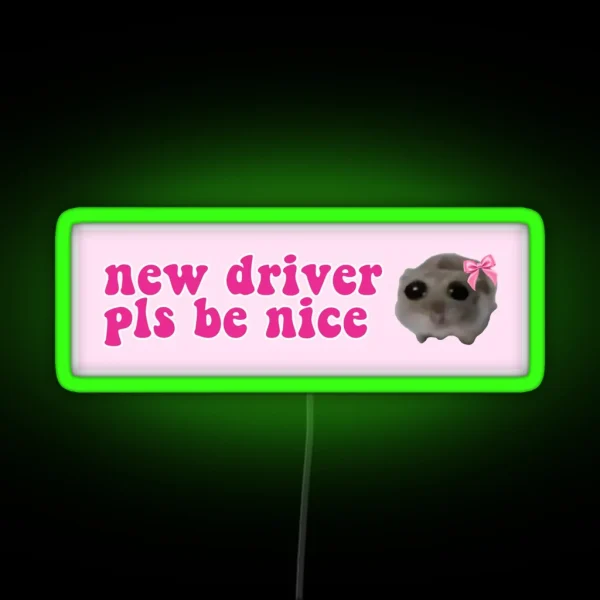 Sad Hamster New Driver Pls Be Nice RGB Neon Sign