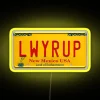 Customizable Saul License Plate Style RGB Neon LED Sign Display