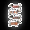 Brightly lit, colorful illustration of sausage dogs in cozy sweaters.