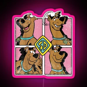 Scoobydoo Expressions Box Up RGB Neon Sign