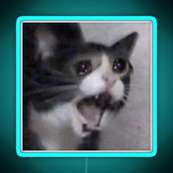 Screaming Crying Sad Cat RGB Neon Sign