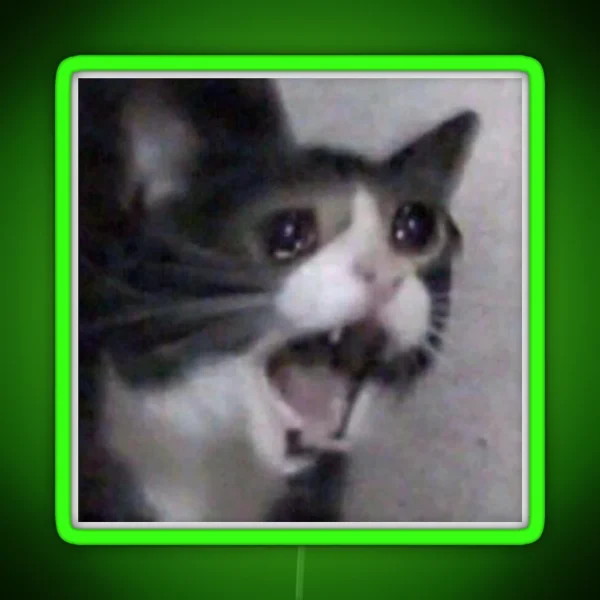 Screaming Crying Sad Cat RGB Neon Sign