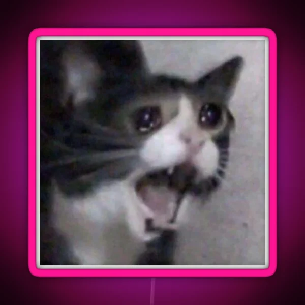 Screaming Crying Sad Cat RGB Neon Sign