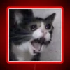 Whiskered Emotion in Colorful RGB Lighted Feline Expression Display