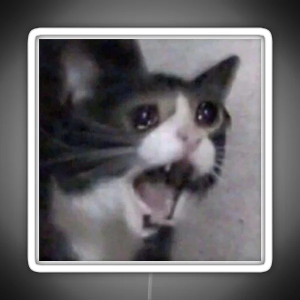 Screaming Crying Sad Cat RGB Neon Sign
