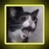 Vibrant Emotional LED Neon Sign Featuring a Distressed Crying Cat