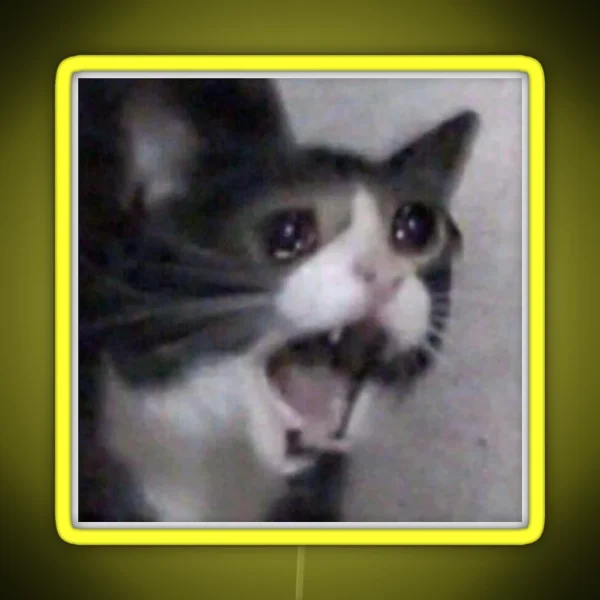 Screaming Crying Sad Cat RGB Neon Sign