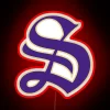 Sewanee University of the South logo RBG neon illuminated sign