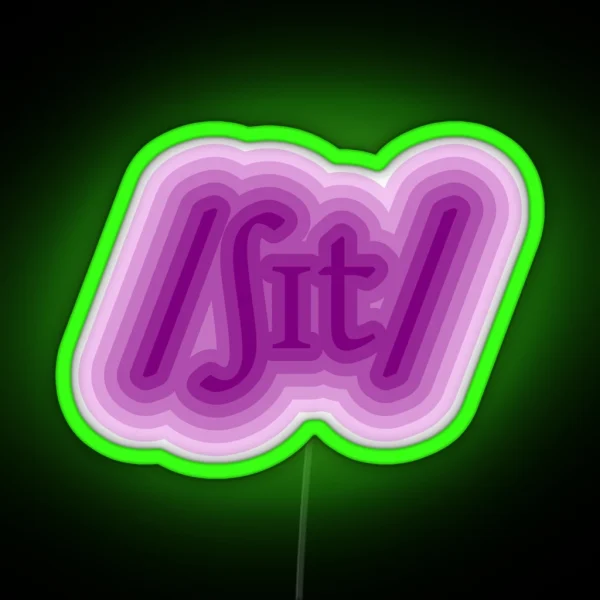 Sh T RGB Neon Sign