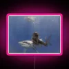 Shimmering Shark Princess Illuminates Your Space with Vibrant RGB Neon Lights