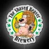 Vibrant RGB neon bar decoration featuring beaver brewery logo.