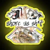 Vibrant Shore as She's Told Shorebirds RGB Colorful Neon Sign