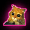 Customizable RGB neon sign with Shrek and Puss in Boots design