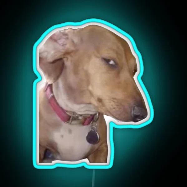 Side Eye Dog Meme RGB Neon Sign