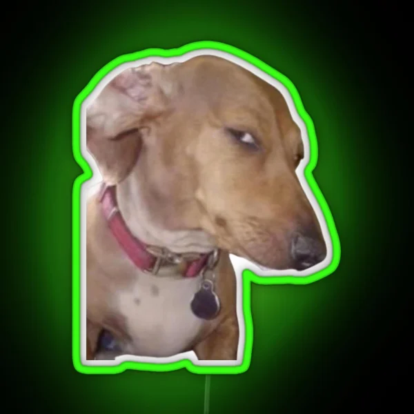 Side Eye Dog Meme RGB Neon Sign
