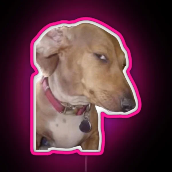 Side Eye Dog Meme RGB Neon Sign