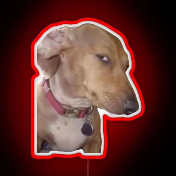 Side Eye Dog Meme RGB Neon Sign
