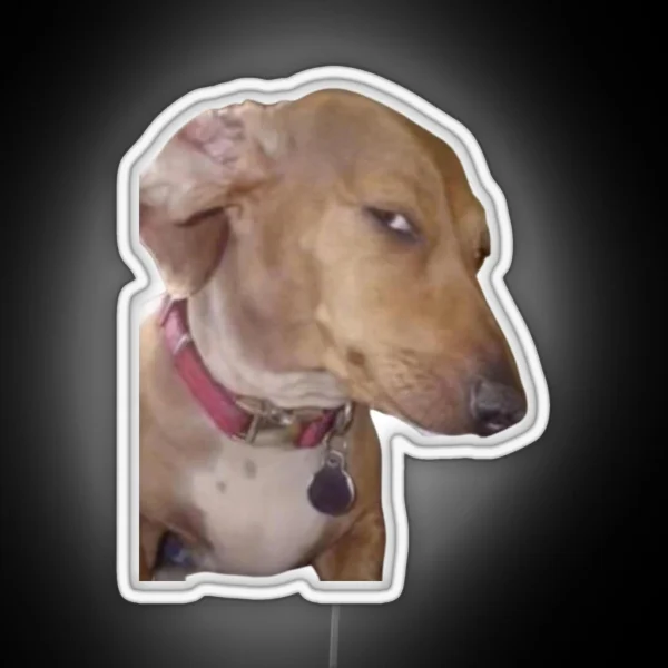 Side Eye Dog Meme RGB Neon Sign
