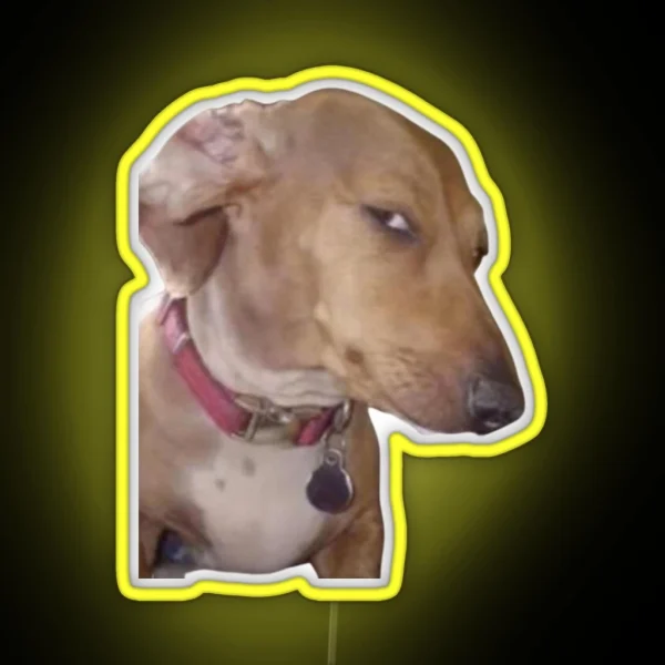 Side Eye Dog Meme RGB Neon Sign