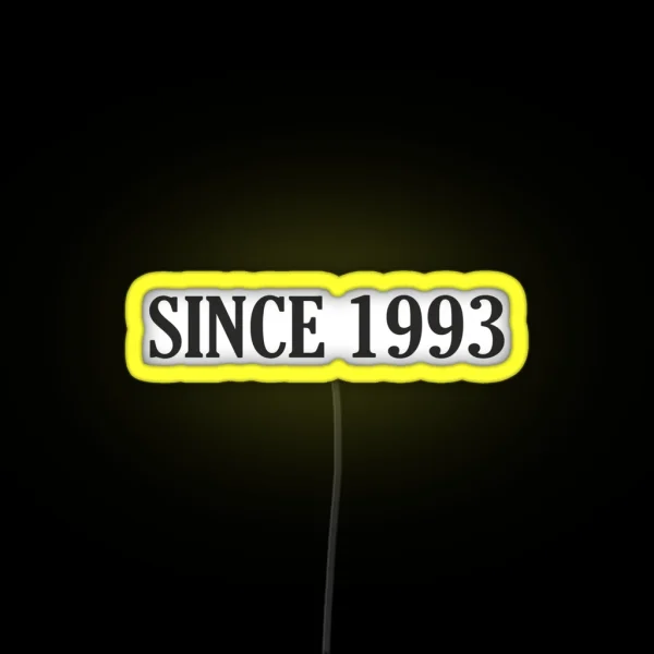 Since 1993 Since 1993 Year 1993 Birth 1993 RGB Neon Sign