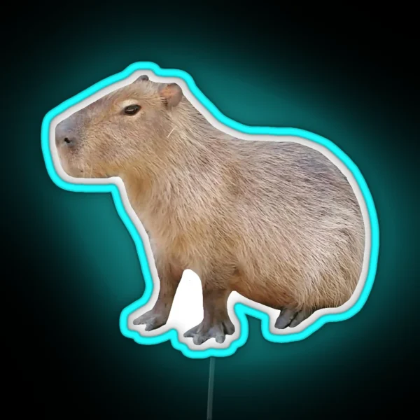 Sitting Capybara RGB Neon Sign