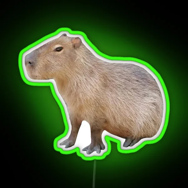Sitting Capybara RGB Neon Sign