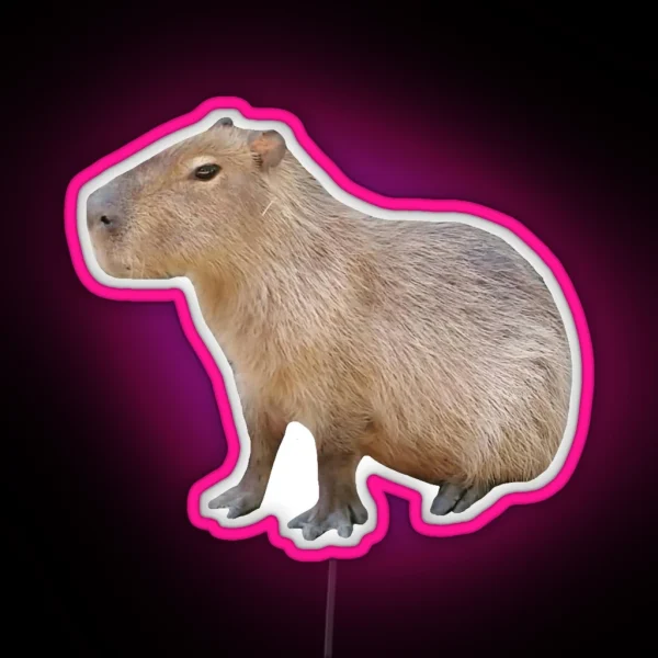 Sitting Capybara RGB Neon Sign