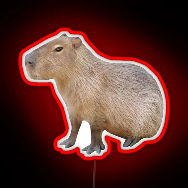 Sitting Capybara RGB Neon Sign