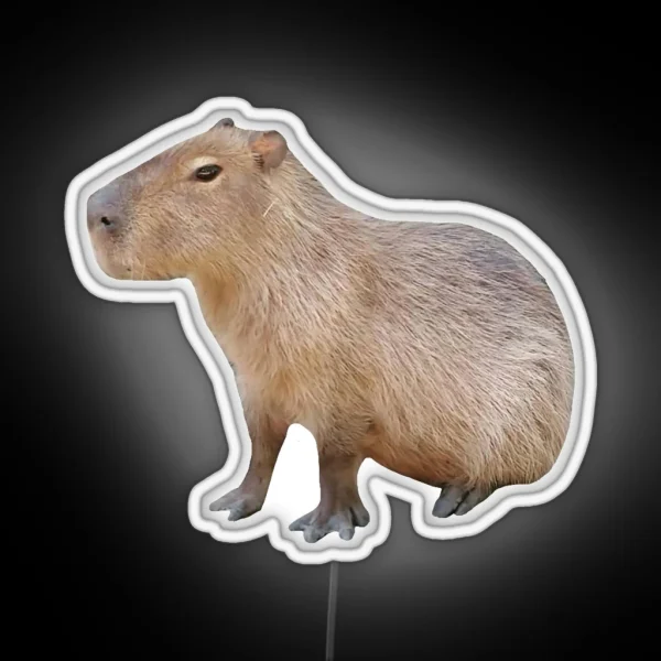 Sitting Capybara RGB Neon Sign