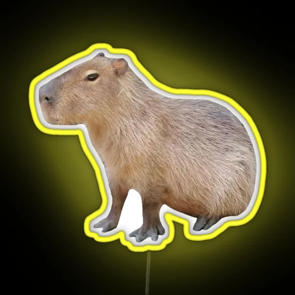 Sitting Capybara RGB Neon Sign
