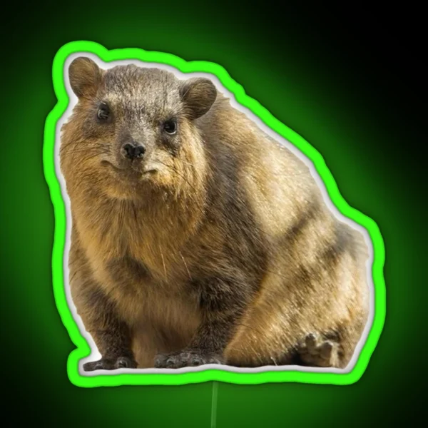 Sitting Rock Hyrax RGB Neon Sign