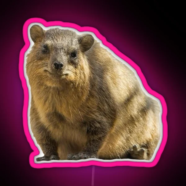 Sitting Rock Hyrax RGB Neon Sign