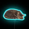Glowing neon cat sleep symbol decor for bedroom ambiance lighting