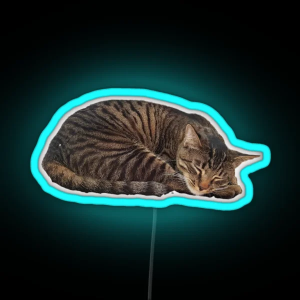 Sleepy Cat RGB Neon Sign