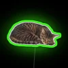 Whimsical Feline-themed LED Neon Sign with Color-Changing RGB Lighting Features