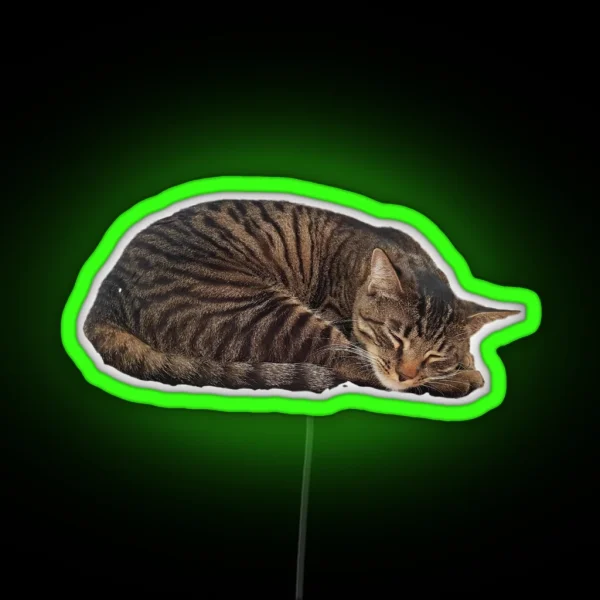 Sleepy Cat RGB Neon Sign