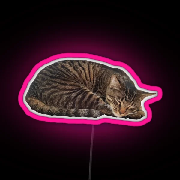 Sleepy Cat RGB Neon Sign