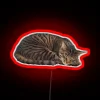 Add a cozy ambiance with this sleepy cat neon light