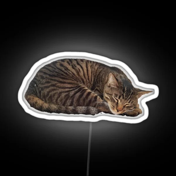 Sleepy Cat RGB Neon Sign
