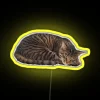 Whimsical RGB LED sleeping cat neon bar decoration signs novelty.