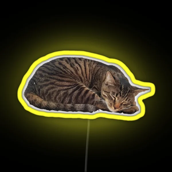 Sleepy Cat RGB Neon Sign