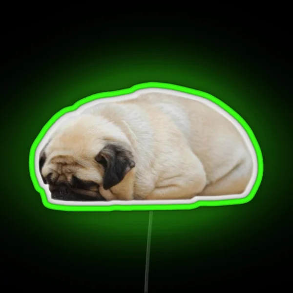 Sleepy Pug RGB Neon Sign